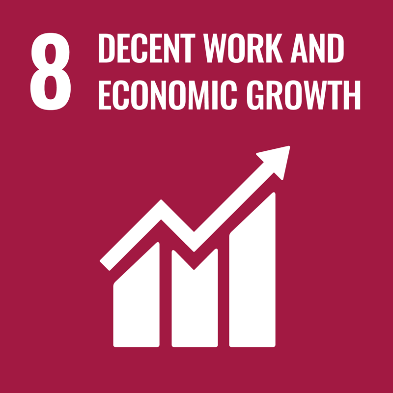 UN Sustainable Development Goal 8