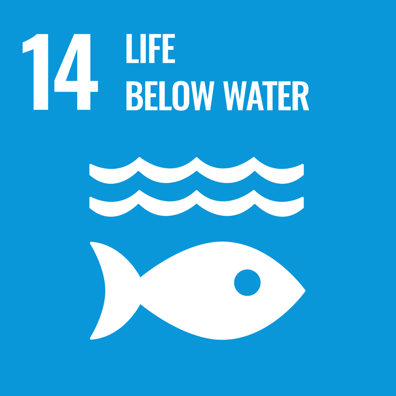 UN Sustainable Development Goal14
