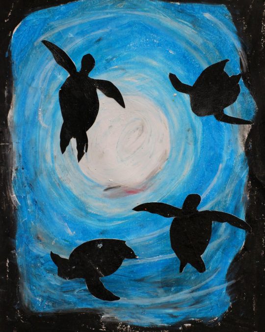 Student artwork of marine animals