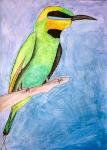 Acrylic on paper by Ellen Crawford, Year 5 Student artwork of a bird study