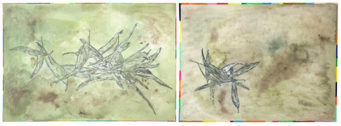 Watercolour, pastel and pencil on paper by Lucy Peddie, Year 12 Student artwork of a leaf study