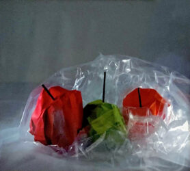 Photographic print on paper by Im Sila-On, Year 12 Student artwork of apples