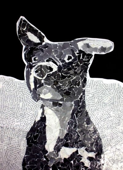 Paper collage by Jasmine Zhang, Year 6 Student artowkr of a portrait of a dog