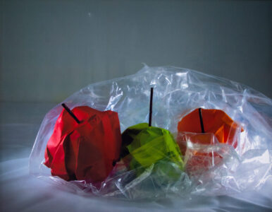 Photographic print on paper by Im Sila-On, Year 12, Geelong Grammar School Student artwork of apples