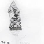 Student drawings of banksia plants