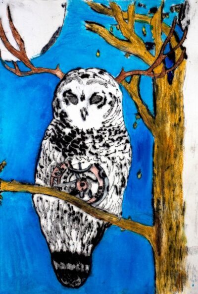Student artwork of an owl with a clockwork belly