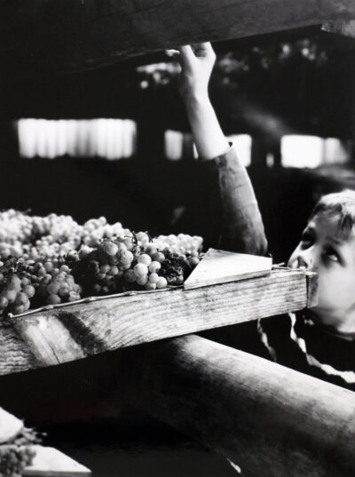 Student photograph of a boy reaching for grapes