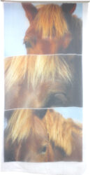 Photographic print on silk by Madeline Benson, Year 12, Christian College Geelong Student artwork of horse photographs on silk