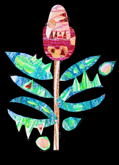 Collaged oil pastel on paper by Amaya Davidoff, Year 4, The King David School Student artwork of a banksia