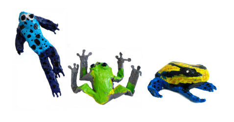 Papier Mache by Hannah Chard, Jaden Cheung, Sidra Dharmadasa, Year 4, St Andrew’s Christian College Student artwork of papier mache frogs