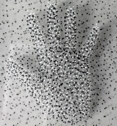 Mixed Media by Lily Sinclair, Year 12, St Michael’s Grammar School Student artwork of hand