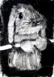 Print on Paper by Amelia Giannioglou, Year 11, Mentone Girls’ Grammar School Student artwork of a rabbit