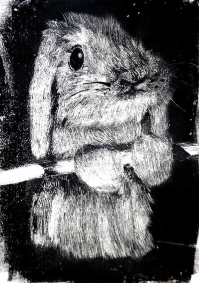 Print on Paper by Amelia Giannioglou, Year 11, Mentone Girls’ Grammar School Student artwork of a rabbit
