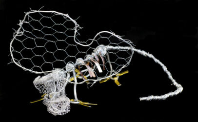 Armature Wire by Sam Chalabi and Regan Taylor, Year 8, Trinity Lutheran College Student artwork of a wire animal