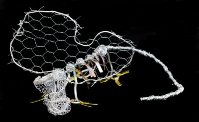 Armature Wire by Sam Chalabi and Regan Taylor, Year 8, Trinity Lutheran College Student artwork of a wire animal