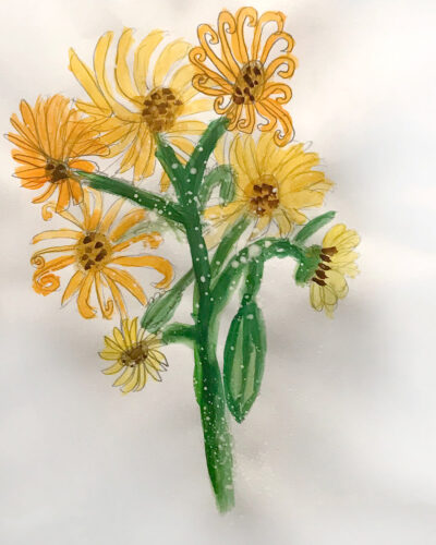 Pencil and Acrylic Paint by Ilaria Natoli, Year 2, St Michael’s Grammar School Student artwork of sunflowers