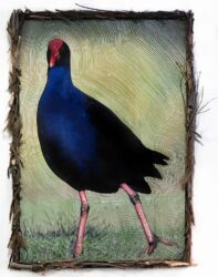 Digital Photography and Foliage by Keeley Richardson, Year 12, Mentone Girls’ Grammar School Student artwork of a bird