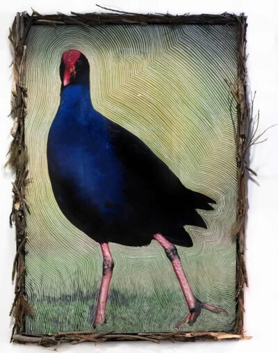 Digital Photography and Foliage by Keeley Richardson, Year 12, Mentone Girls’ Grammar School Student artwork of a bird