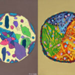 Student artwork of art and petrie dishes