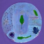 Student artwork of art and petrie dishes