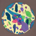 Student artwork of art and petrie dishes