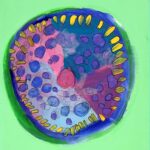 Student artwork of art and petrie dishes