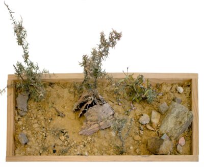 Clay, Wood, Stone and Foliage by Ilia Lapinsky-Cox, Class 3, Ballarat Steiner School and Kindergarten Student artwork of clay, wood, stone and foliage