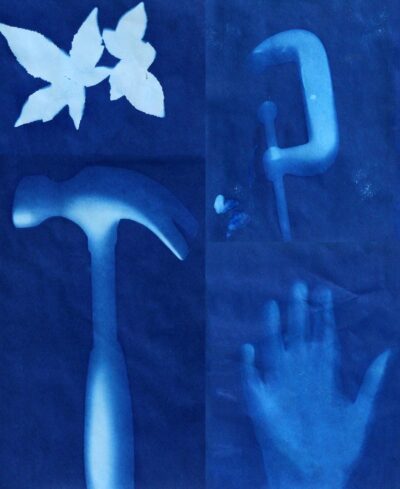 Cyanotype by Nathan Carpenter, Class 4, Ballarat Steiner School and Kindergarten Student artwork of a cyanotype