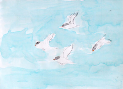 Pencil and Food Dye on Paper by Jasmine Hoen, Year 5, Good Shepherd Lutheran Primary School Student artwork of birds
