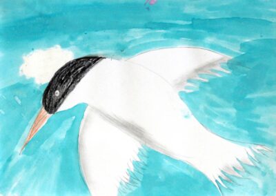 Pencil and Food Dye on Paper by Sophie Denman, Year 5, Good Shepherd Lutheran Primary School Student artwork of a bird