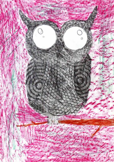 Graphite Rubbing by Joel Barber, Year 3, Good Shepherd Lutheran Primary School Student artwork of an owl
