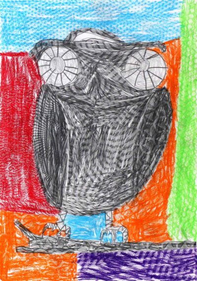 Graphite Rubbing by Alexander Comatas, Year 3, Good Shepherd Lutheran Primary School Student artwork of an owl