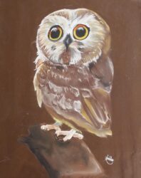 Pastel on Paper by Kahlilla Rigby, Year 12, Hillcrest Christian College Student artwork of an owl