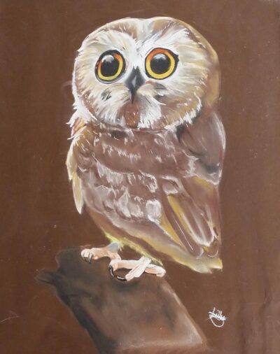 Pastel on Paper by Kahlilla Rigby, Year 12, Hillcrest Christian College Student artwork of an owl