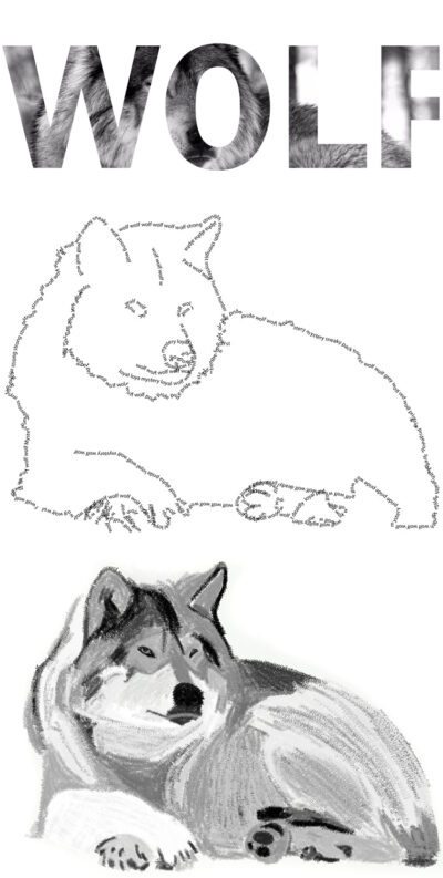 Digital Illustrator by Cayle Archer, Year 11, Hillcrest Christian College Student artwork of a wolf