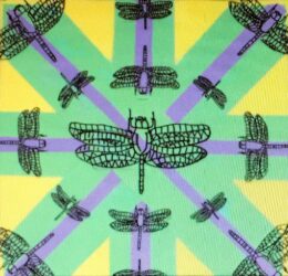 Mixed Media on Paper by Tara Verzak, Year 6, Overnewton Anglican Community College Student artwork of an insect pattern