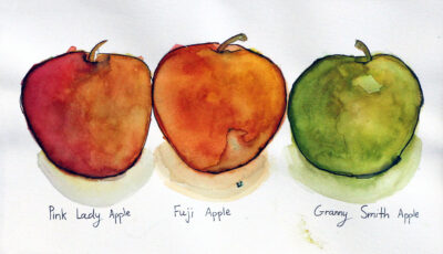Watercolour on Paper by Navya Kataria, Year 9, Ruyton Girls’ School Student artwork of three apples