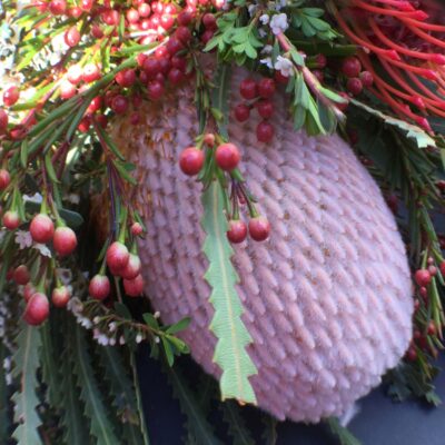 Digital photograph by Tommy Skillington, Year 3, Trinity Grammar School, Kew Student artwork of