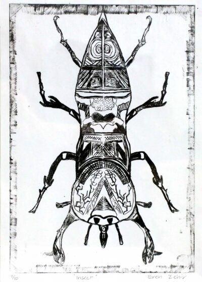 Etching on Paper by Eren Zehir, Year 7, The Hamilton and Alexandra College Student artwork of an insect