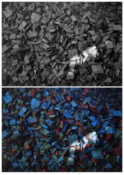 Digital Photograph by Connor Duro, Year 9, Bayview College Student artwork of woodchips