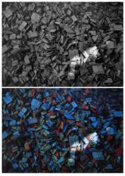 Digital Photograph by Connor Duro, Year 9, Bayview College Student artwork of woodchips