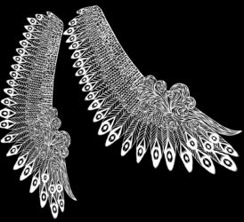 Paper by Jade Tsai, Year 12, Huntingtower Student artwork of black and white wings