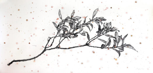 Drawing on Watercolour by Maggie Wu, Year 11, Huntingtower Student artwork of a branch