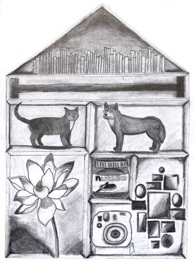 Pencil on Paper by Lotus Jeffs, Year 9, Mentone Grammar Student artwork of personal belongings on shelves