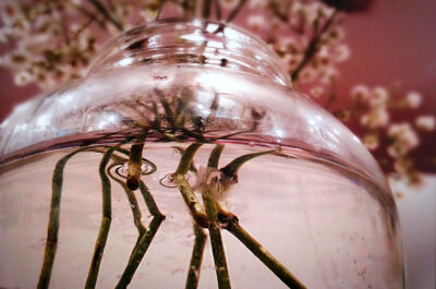 Photographic Print by Mia Komesaroff, Year 8, Mount Scopus Memorial College Student artwork of