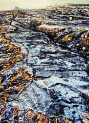 Photographic Print by Jared Nadelman, Year 8, Mount Scopus Memorial College Student artwork of