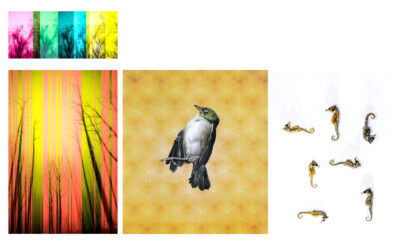 Digital Image by Walter Bakowski, Class 12, Sophia Mundi Steiner School Student artwork of trees, birds and seahorses