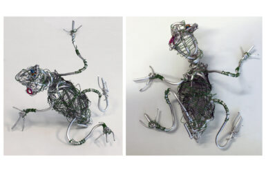 Wire by Kate Whyte, Year 7, Trinity Lutheran College Student artwork of a wire frog