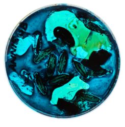 Mixed media, a group project by Year 3 students from Mentone Girls’ Grammar School Student artwork of an abstract petri dish art