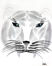 Acrylic on canvas by Francesca Bardell, Year 10, Macedon Grammar School Student artwork of a white tiger